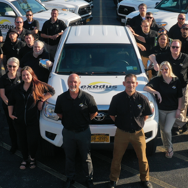 Exodus Team