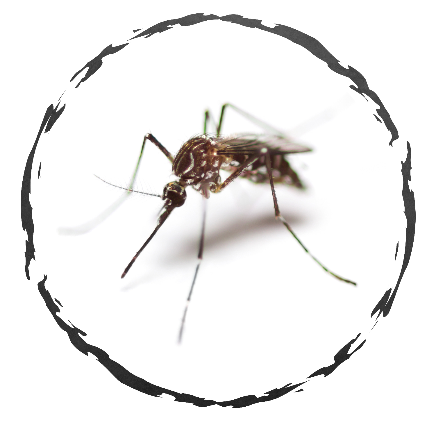 Exterminateur d'insectes XTRALED BEAUMONT - LED - 100m² - Ukal